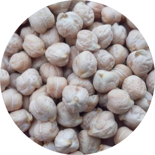 ARDA NOHUT TOHUMU. KIŞLIK NOHUT. ÇORUM