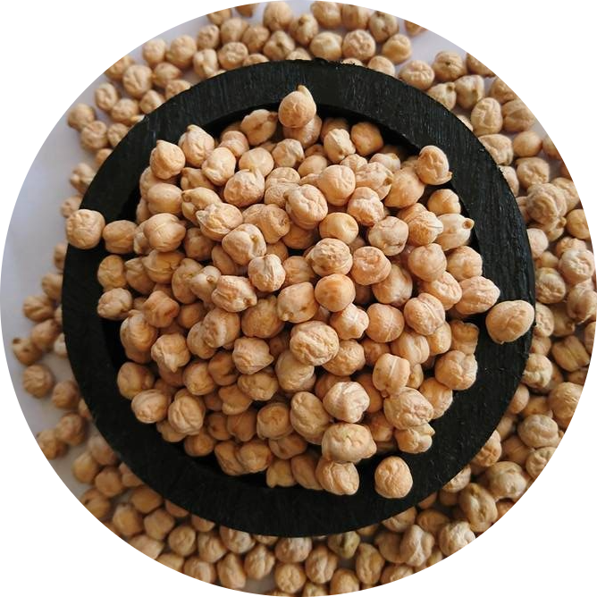 Göksu Nohut Tohumu En Verimli Nohut tohumu. Konya